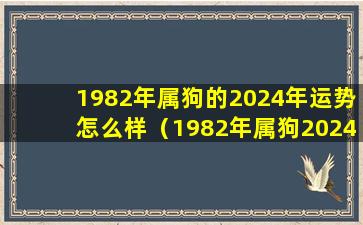 1982年属狗的2024年运势怎么样（1982年属狗2024年运势及运程大家找）