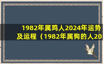 1982年属鸡人2024年运势及运程（1982年属狗的人2024年的运势及运程）