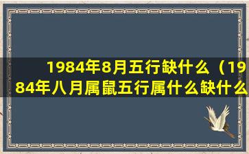 1984年8月五行缺什么（1984年八月属鼠五行属什么缺什么）