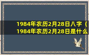 1984年农历2月28日八字（1984年农历2月28日是什么星座）