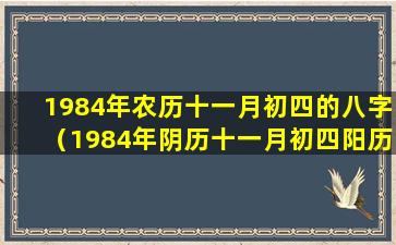 1984年农历十一月初四的八字（1984年阴历十一月初四阳历是几号）