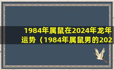 1984年属鼠在2024年龙年运势（1984年属鼠男的2024年全年运势如何）