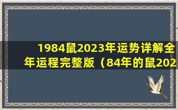 1984鼠2023年运势详解全年运程完整版（84年的鼠2023年的财运怎么样）