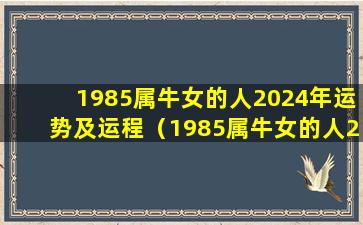 1985属牛女的人2024年运势及运程（1985属牛女的人2024年运势及运程有2023年的运势好吗）