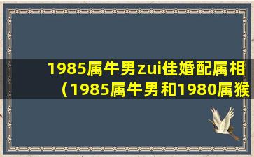 1985属牛男zui佳婚配属相（1985属牛男和1980属猴女婚配吗）