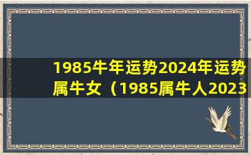 1985牛年运势2024年运势属牛女（1985属牛人2023年全年运势详解）