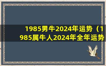 1985男牛2024年运势（1985属牛人2024年全年运势详解）