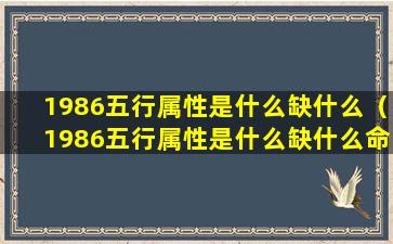 1986五行属性是什么缺什么（1986五行属性是什么缺什么命）