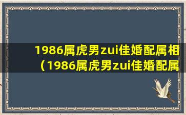 1986属虎男zui佳婚配属相（1986属虎男zui佳婚配属相是什么）