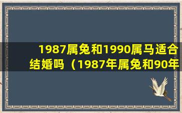 1987属兔和1990属马适合结婚吗（1987年属兔和90年属*在一起会怎么样）