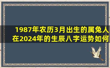 1987年农历3月出生的属兔人在2024年的生辰八字运势如何