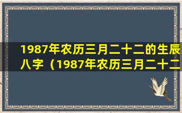 1987年农历三月二十二的生辰八字（1987年农历三月二十二的生辰八字是什么）