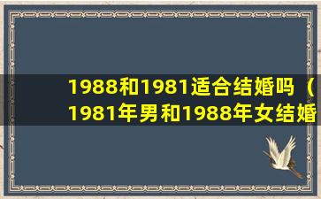 1988和1981适合结婚吗（1981年男和1988年女结婚合适吗）