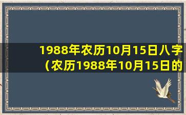 1988年农历10月15日八字（农历1988年10月15日的阳历是哪一天）