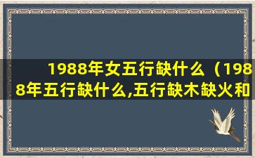 1988年女五行缺什么（1988年五行缺什么,五行缺木缺火和五行缺金取水）