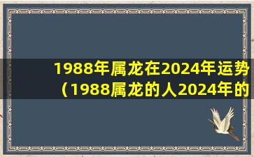 1988年属龙在2024年运势（1988属龙的人2024年的运势及运程）