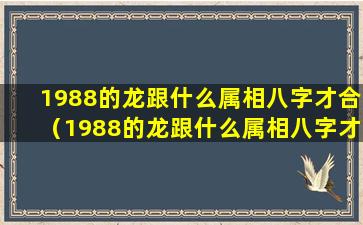 1988的龙跟什么属相八字才合（1988的龙跟什么属相八字才合财）