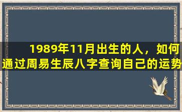 1989年11月出生的人，如何通过周易生辰八字查询自己的运势