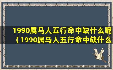 1990属马人五行命中缺什么呢（1990属马人五行命中缺什么呢女孩）