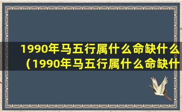 1990年马五行属什么命缺什么（1990年马五行属什么命缺什么属性）