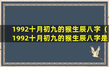 1992十月初九的猴生辰八字（1992十月初九的猴生辰八字是什么）