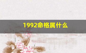 1992命格属什么