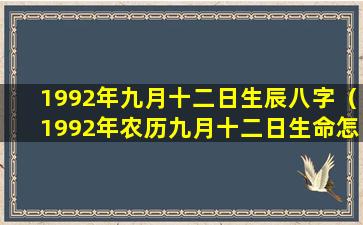 1992年九月十二日生辰八字（1992年农历九月十二日生命怎么样）