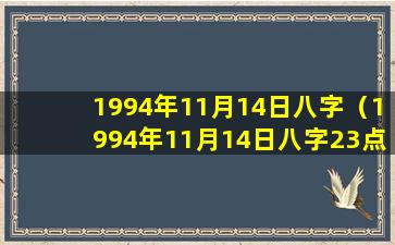 1994年11月14日八字（1994年11月14日八字23点天干地支）