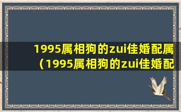 1995属相狗的zui佳婚配属（1995属相狗的zui佳婚配属相是什么）