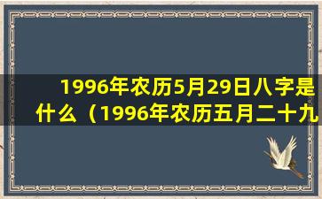 1996年农历5月29日八字是什么（1996年农历五月二十九是阳历多少号）