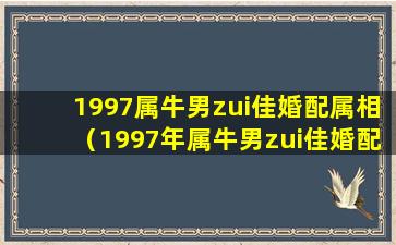 1997属牛男zui佳婚配属相（1997年属牛男zui佳婚配属牛女咋样）