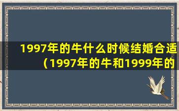 1997年的牛什么时候结婚合适（1997年的牛和1999年的兔相配吗）