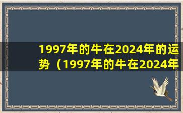 1997年的牛在2024年的运势（1997年的牛在2024年的运势和运程月运势和运程）