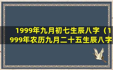 1999年九月初七生辰八字（1999年农历九月二十五生辰八字）