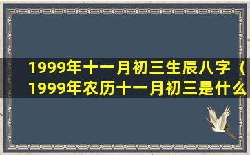 1999年十一月初三生辰八字（1999年农历十一月初三是什么星座）