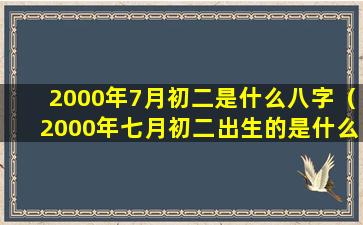 2000年7月初二是什么八字（2000年七月初二出生的是什么命）