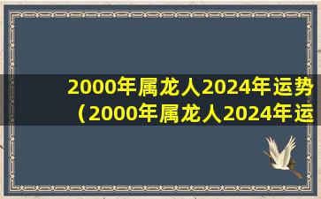 2000年属龙人2024年运势（2000年属龙人2024年运势及运程-属龙-国学梦）