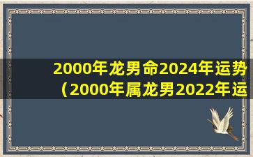 2000年龙男命2024年运势（2000年属龙男2022年运势及运程每月运程五月运气）