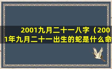 2001九月二十一八字（2001年九月二十一出生的蛇是什么命）