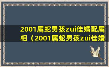 2001属蛇男孩zui佳婚配属相（2001属蛇男孩zui佳婚配属相是什么）