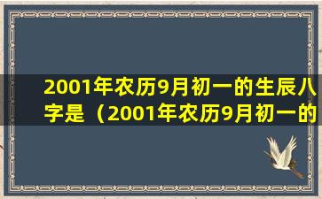 2001年农历9月初一的生辰八字是（2001年农历9月初一的生辰八字是什么意思）