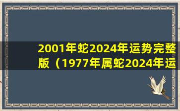 2001年蛇2024年运势完整版（1977年属蛇2024年运势完整版）