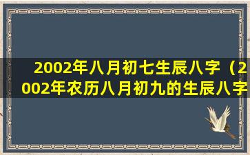 2002年八月初七生辰八字（2002年农历八月初九的生辰八字）