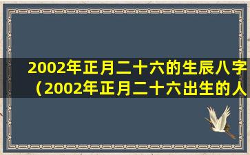 2002年正月二十六的生辰八字（2002年正月二十六出生的人的生辰八字）