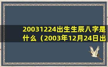 20031224出生生辰八字是什么（2003年12月24日出生是什么命）