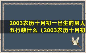 2003农历十月初一出生的男人五行缺什么（2003农历十月初一出生的男人五行缺什么属性）