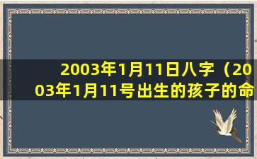 2003年1月11日八字（2003年1月11号出生的孩子的命运）