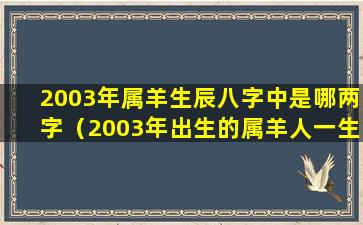 2003年属羊生辰八字中是哪两字（2003年出生的属羊人一生命运）