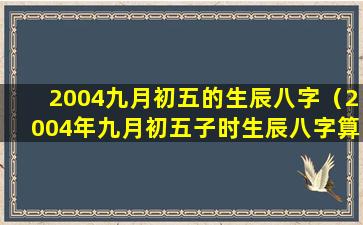 2004九月初五的生辰八字（2004年九月初五子时生辰八字算命）