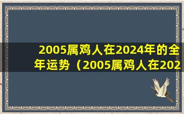 2005属鸡人在2024年的全年运势（2005属鸡人在2022年的全年运势）